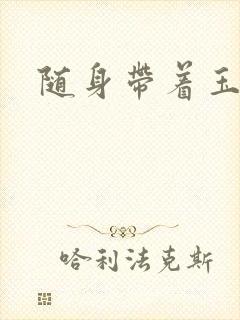 随身带着玉如意封面