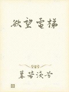 欲望电梯
