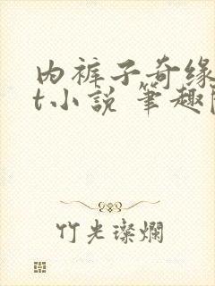 内裤子奇缘txt小说 笔趣阁封面