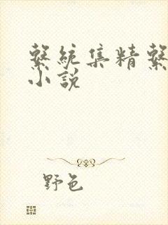 系统集精系统 小说