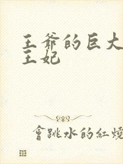王爷的巨大进入王妃