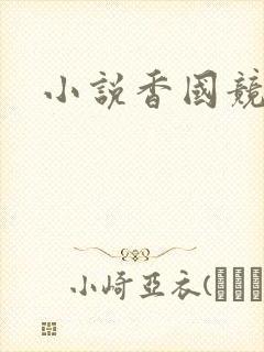 小说香国竞艳