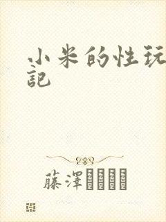 小米的性玩具日记封面