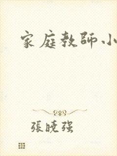 家庭教师小说封面