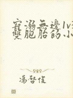 宠溺无边1v3双胞胎的小说
