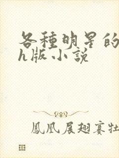 各种明星的综艺h版小说