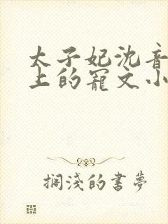 太子妃沈音和皇上的宠文小说