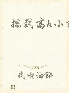 总裁高h小说