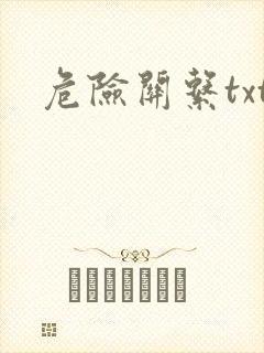 危险关系txt封面