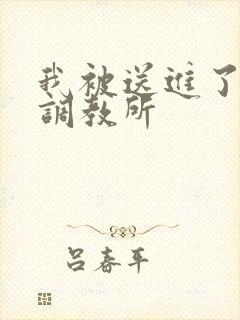 我被送进了私奴调教所