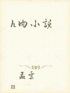 h肉小说