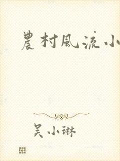 农村风流小说封面