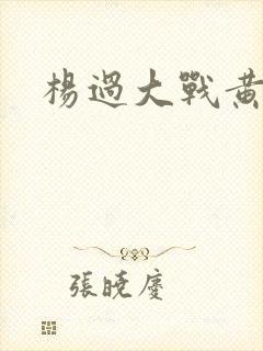 杨过大战黄蓉
