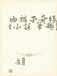 内裤子奇缘txt小说 笔趣阁封面