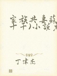 家族共妻苏苏(十千)小说免费