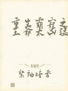 重生霸宠之摄政王爷太凶猛