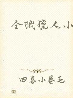 全职猎人小说