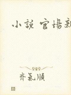 小说 官场新贵