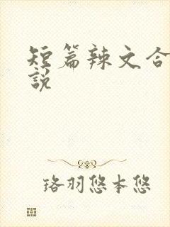 短篇辣文合集小说