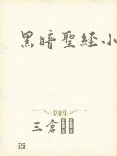 黑暗圣经小说
