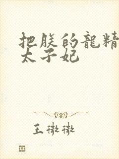 把朕的龙精含h太子妃封面