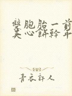 双胞胎一前一后夹心饼干年下