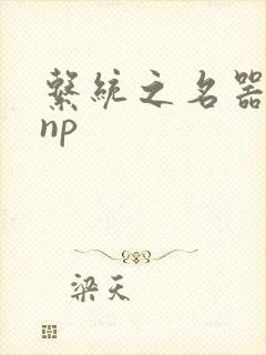 系统之名器攻略np封面
