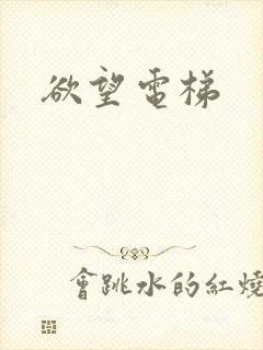 欲望电梯