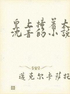皇上撞着太子妃沈音的小说叫什么封面