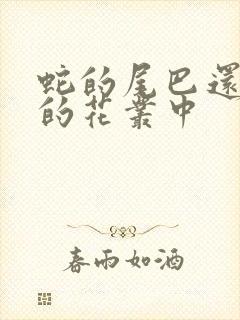 蛇的尾巴还在我的花丛中