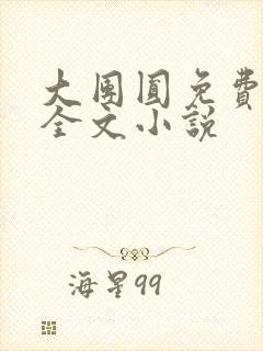 大团圆免费阅读全文小说