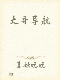 大哥导航
