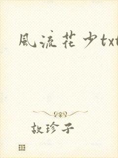 风流花少txt