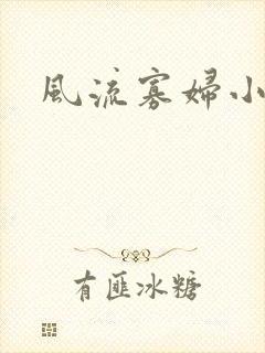 风流寡妇小说