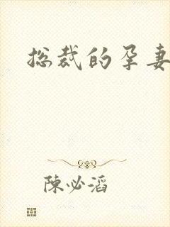 总裁的孕妻