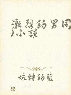 激烈的男同(h)小说