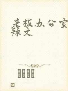 老板办公室系列辣文