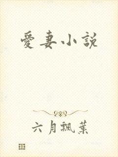 爱妻小说