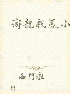 游龙戏凤小说