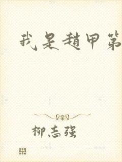 我是赵甲第小说