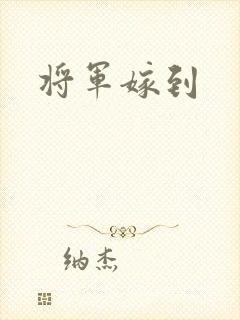 将军嫁到封面