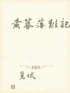 黄蓉落难记封面