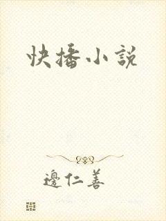 快播小说