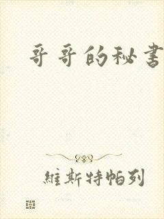 哥哥的秘书