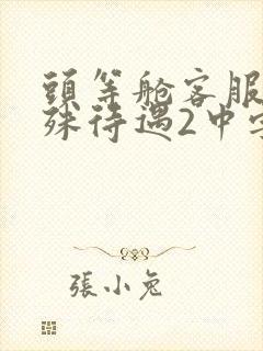 头等舱客服的特殊待遇2中字
