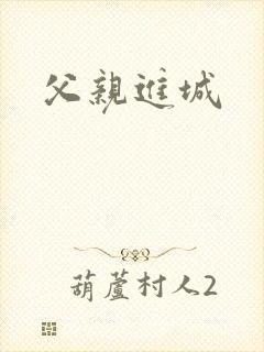 父亲进城封面