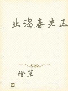 止渴春光正好