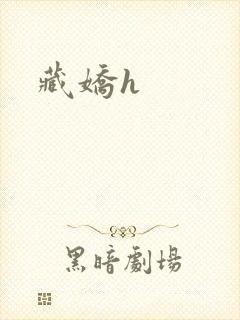 藏娇h