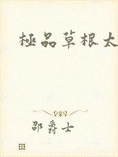 极品草根太子封面