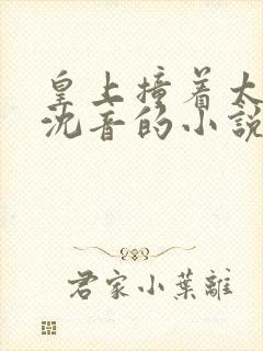 皇上撞着太子妃沈音的小说叫什么封面